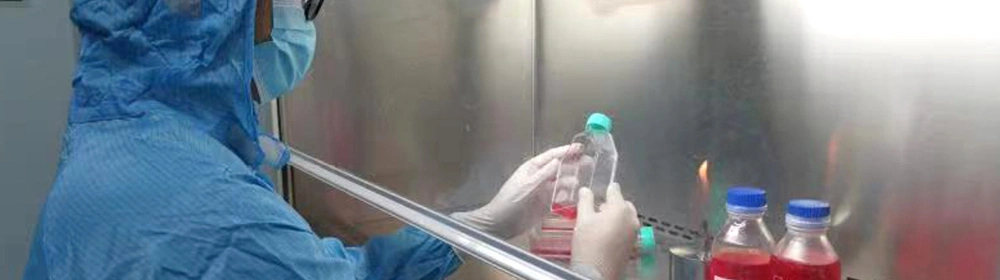 مركز البحث والتطوير