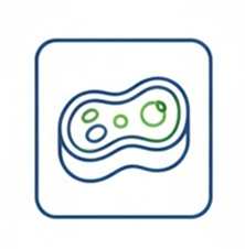 اللحوم المستزرعة