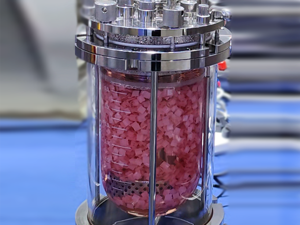 نظام المفاعل الزجاجي